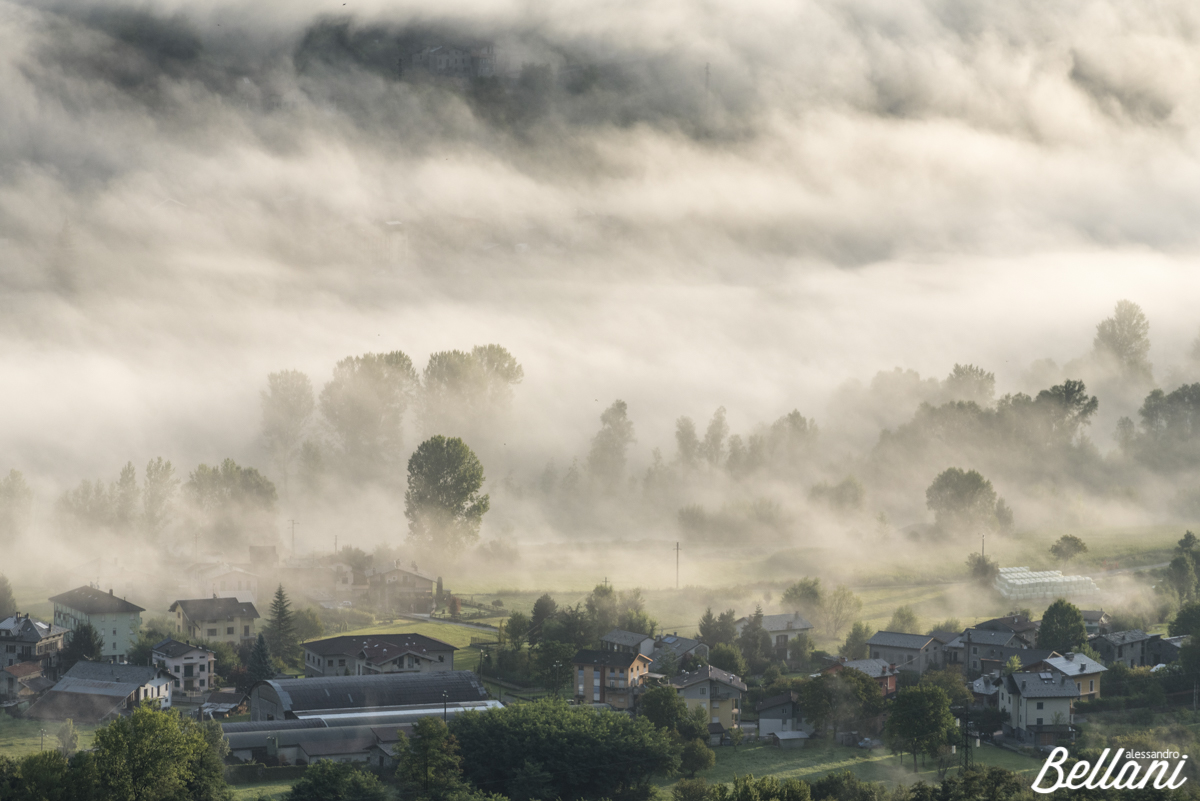 Fog in Valtellina