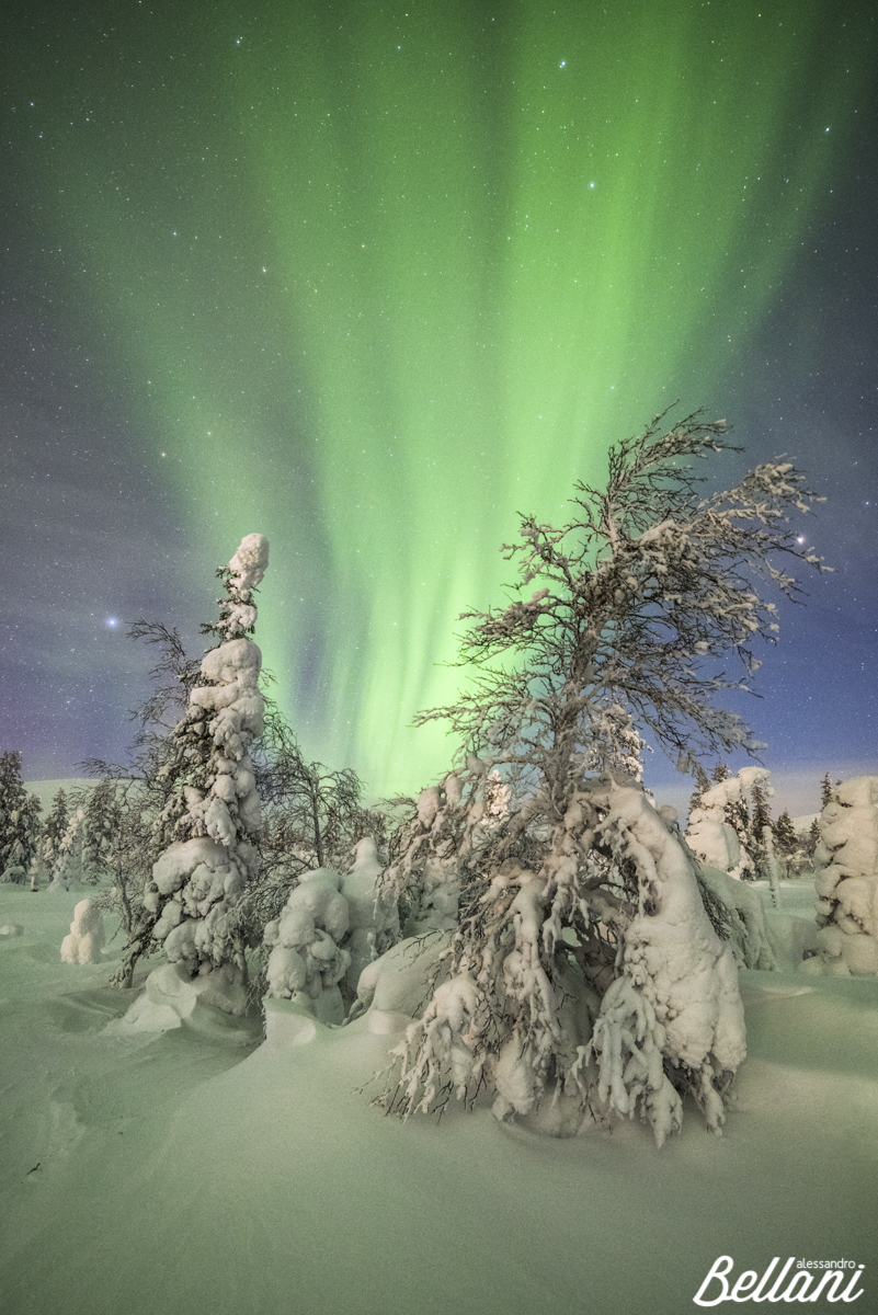 Northern Lights FINLAND