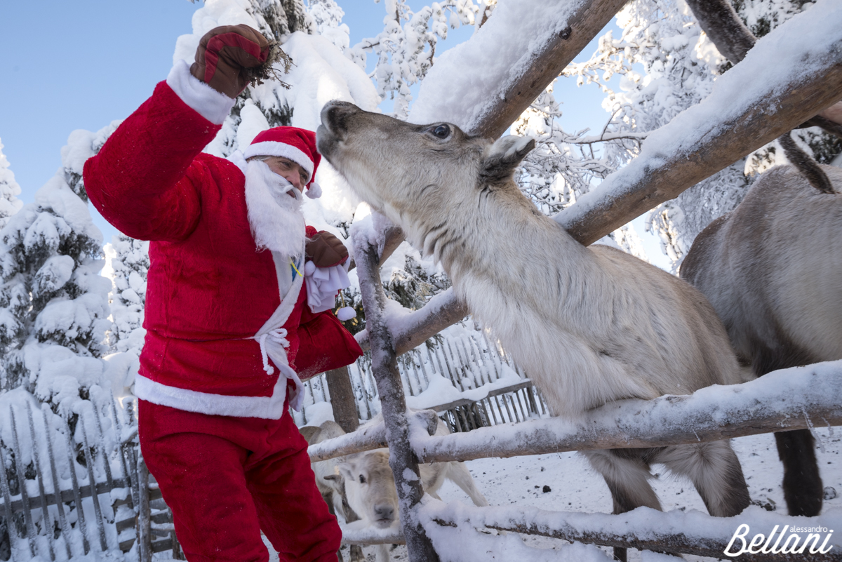 Santa Claus and reindeer FINLAND